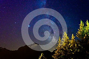 Evergreen fir tree with cones, peaks of French Alps mountains and starry sky at night on background