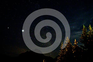 Evergreen fir tree with cones, peaks of French Alps mountains and starry sky at night on background