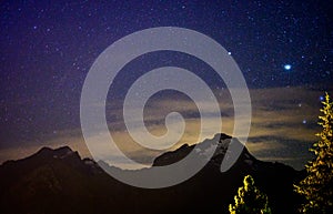 Evergreen fir tree with cones, peaks of French Alps mountains and starry sky at night on background