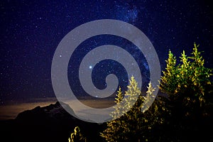 Evergreen fir tree with cones, peaks of French Alps mountains and starry sky at night on background