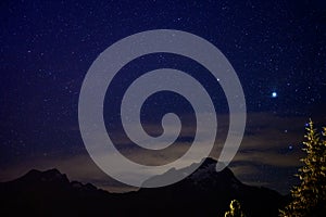 Evergreen fir tree with cones, peaks of French Alps mountains and starry sky at night on background