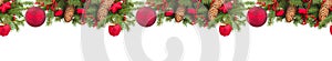 Evergreen fir tree and red christmas ball