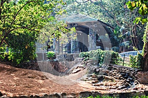 Evergreen flora, trees and plants diversity in Trivandrum, Thiruvananthapuram Zoo Kerala India