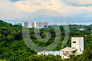 Evergreen forest at Hinsuay Namsai beach, Rayong, Thailand. The growth of tourism and construction of hotels and resorts made redu