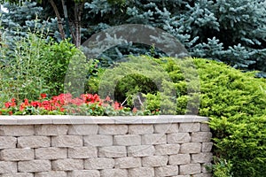 Evergreen Landscape Design