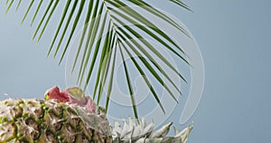 Evergreen palm leaves with natural exotic fruits composition on a wooden table on a blue background. Vertical panoramic