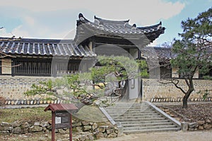 Traditions of Outdoor Slanting Bonsai style Shakan photo