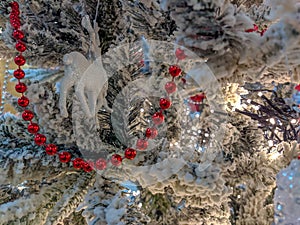 Evergreen pine tree covered in snow, closeup of decorated Christmas tree with red pearls ornament during holidays season