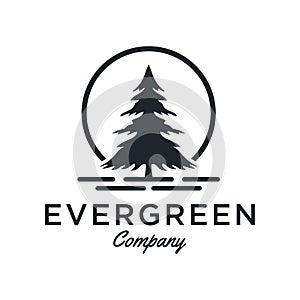 Evergreen / Pine tree Logo design inspiration - Vector photo