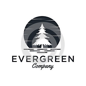 Evergreen / Pine tree Logo design inspiration - Vector