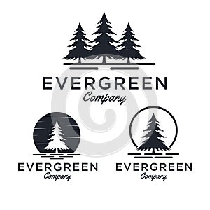 Evergreen / Pine tree Logo design inspiration - Vector