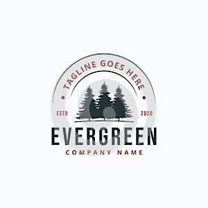 Evergreen pine tree vintage logo with half round stamp on top vector illustration design