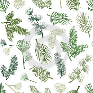 Evergreen plant and tree seamless pattern, background with pine and fir branch, cedar twig, Christmas and New Year decoration,