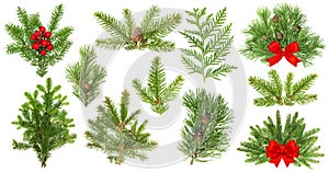 Evergreen tree branches. Christmas decoration red ribbon berries