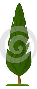 Evergreen tree - modern flat design style single isolated image