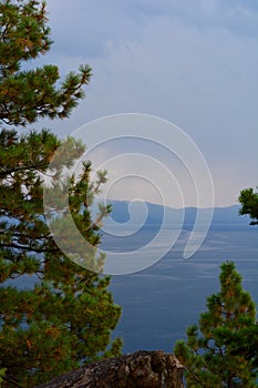 Evergreen Trees in Foreground of Lake and Mountains