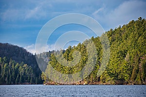 Evergreen trees on rocky shore of northern lake