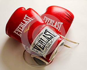 Everlast Boxing Gloves