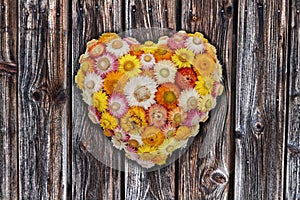 Everlasting Flower Wall Decoration