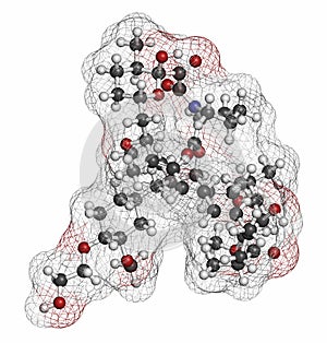 Everolimus immunosuppressant molecule. Used in drug-eluting coronary stents. Atoms are represented as spheres with conventional