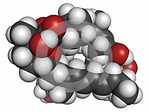 Everolimus immunosuppressant molecule. Used in drug-eluting coronary stents. Atoms are represented as spheres with conventional