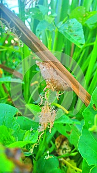 Every corner of natury keeps a story