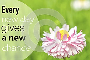 Every new day gives new chance happy quotes. Business concep artwork