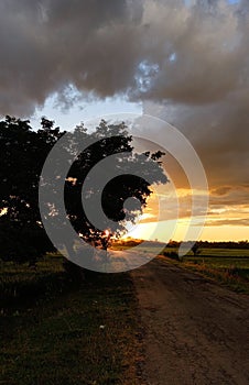 Every Sunset Has a Story