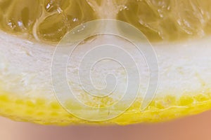 Macro of a slice of a fresh lemon.