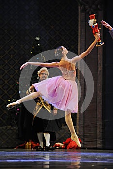 Everybody wants to touch the doll-The Ballet Nutcracker
