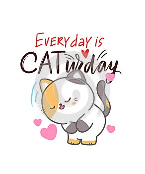 Everyday is catday