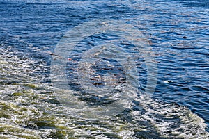 Everyday landscape of Guanabara Bay, in Rio de Janeiro, southeastern Brazil photo