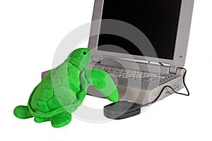 Everyones on the net