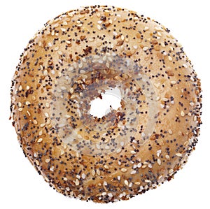 Everything Bagel