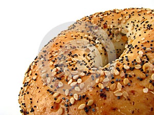 Everything Bagel