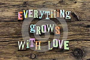 Everything grow old love time better typography type