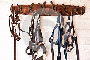 Everything in its place. Shot of riding tack hanging from a wall.