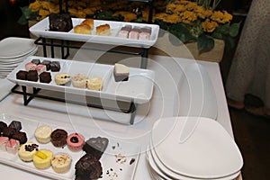 Everything is ready for the party to begin.