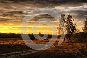 Evevning over field photo