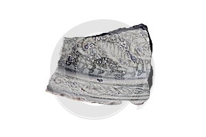 Evidence of disc ceramic wastes with motif isolated on white background.