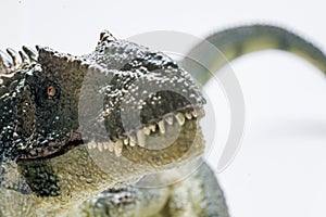 Evil Allosaurus on white background