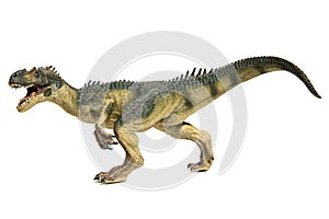 Evil Allosaurus on white background