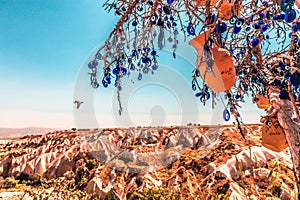 Evil Eye Beads on Tree and Fairy tale chimneys in Guvercinlik Valley photo