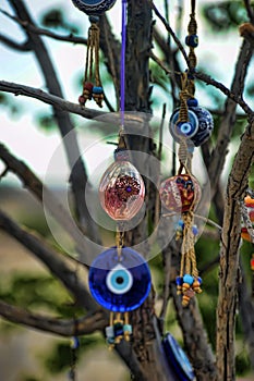 Evil eye charms hang from a bare tree in Cappadoci