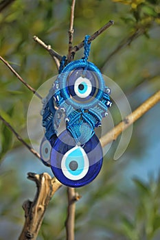 Evil eye charms hang from a bare tree in Cappadoci photo