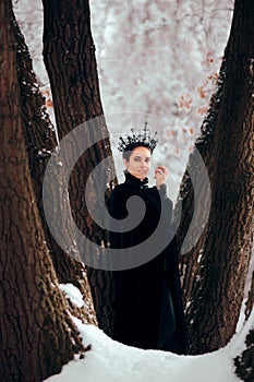 Evil Queen with Poisoned Apple in Winter Wonderland