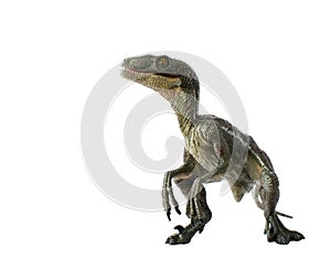 Evil velociraptor on white background