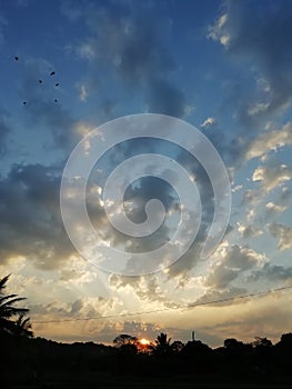 Evining sunlight with clouds and birds