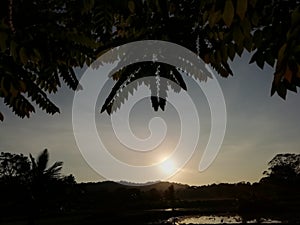 Evining sunlight with water