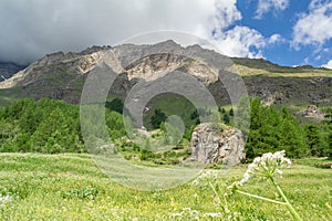 Evocative alpine panorama with clouds and mountains trees